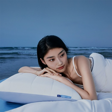 Load image into Gallery viewer, ATOUR PLANET Memory Cotton Neck Protection Deep Sleep Pillow  (Ready Stock)
