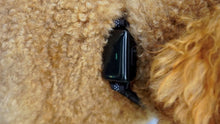 Load image into Gallery viewer, GoGoLeash 4 in 1 Smart Dog Leash (Ready Stock) - Searching C Malaysia