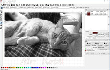 Load image into Gallery viewer, Tyvok - LightBurn Software - GCode License Key