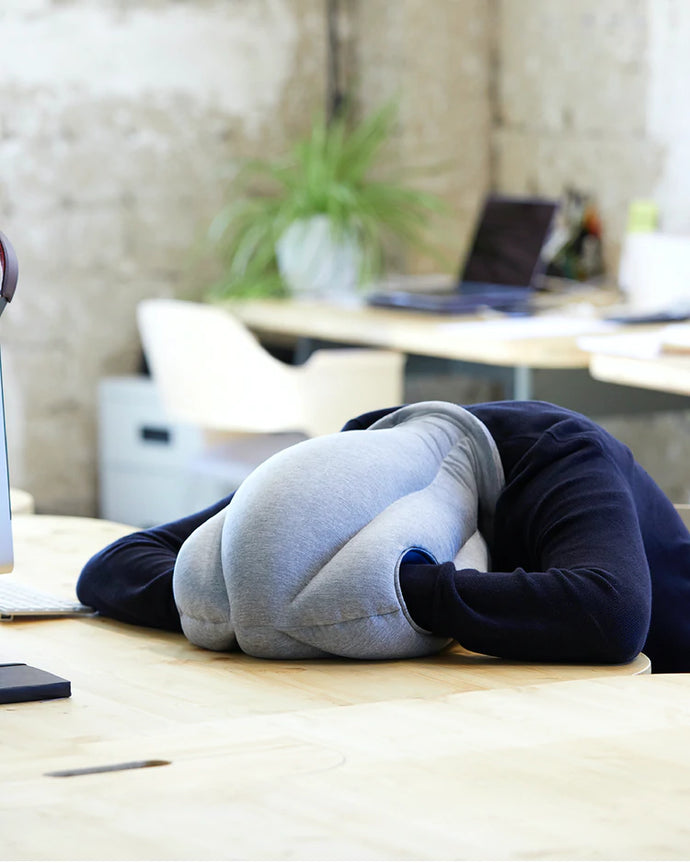 Original Napping Pillow (Ready Stock) - Searching C Malaysia