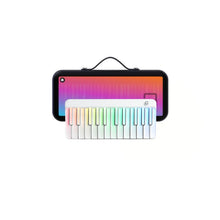Load image into Gallery viewer, ** Exclusive Offer Now** PopuPiano Smart Portable Piano Fullset (Ready Stock)