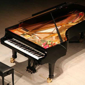 TERENCE Professional 88 Keyboard Upward Foldable Electronic Piano  (Ready Stock)