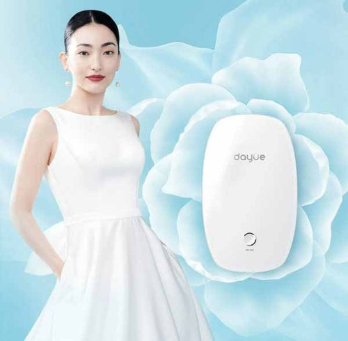 Dayue pelvic floor muscle repair device  (Ready Stock)