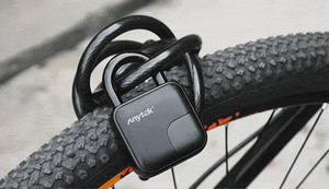 Anylock｜Fingerprint Padlock - Searching C Malaysia